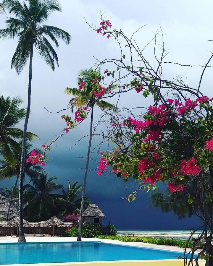 Belvedere Resort Jambiani (Zanzibar) Exterior foto