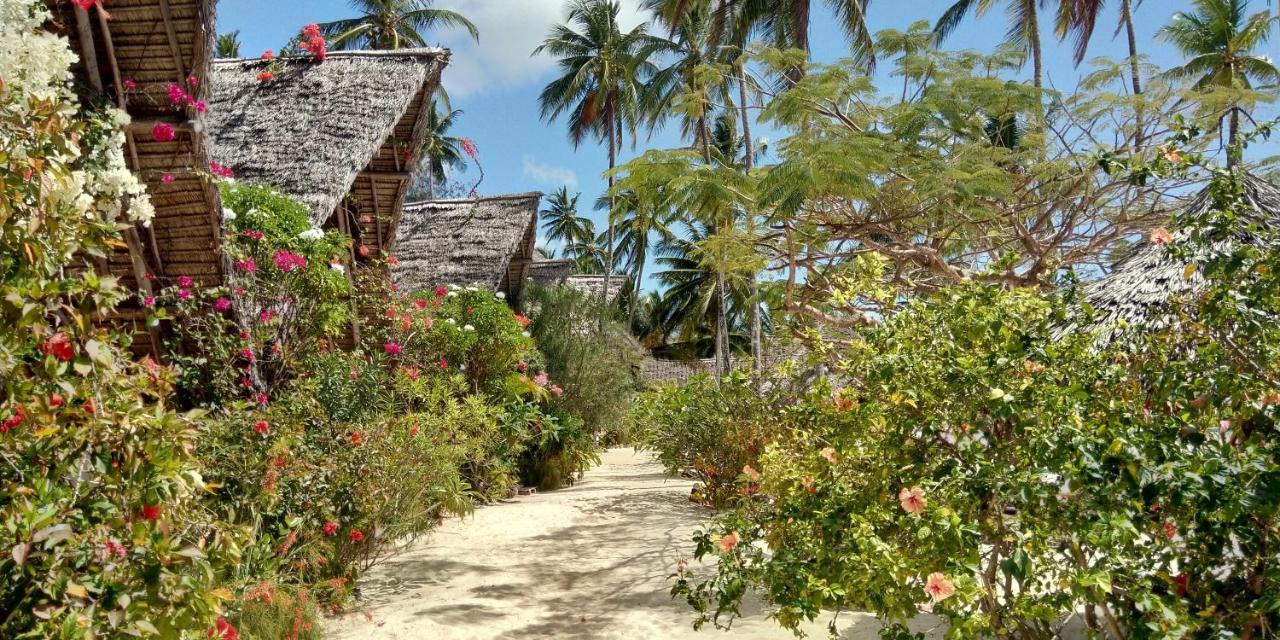Belvedere Resort Jambiani (Zanzibar) Exterior foto