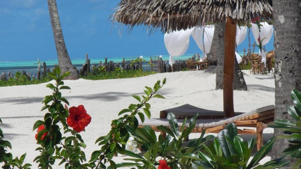 Belvedere Resort Jambiani (Zanzibar) Exterior foto