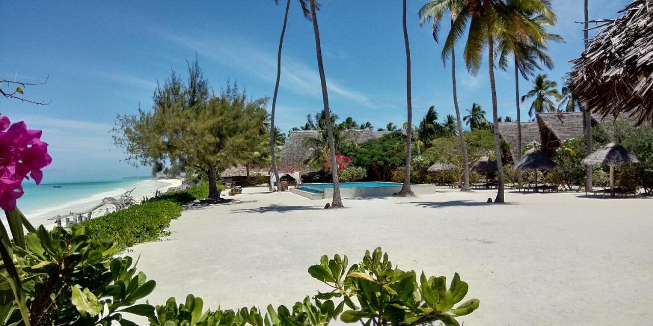 Belvedere Resort Jambiani (Zanzibar) Exterior foto