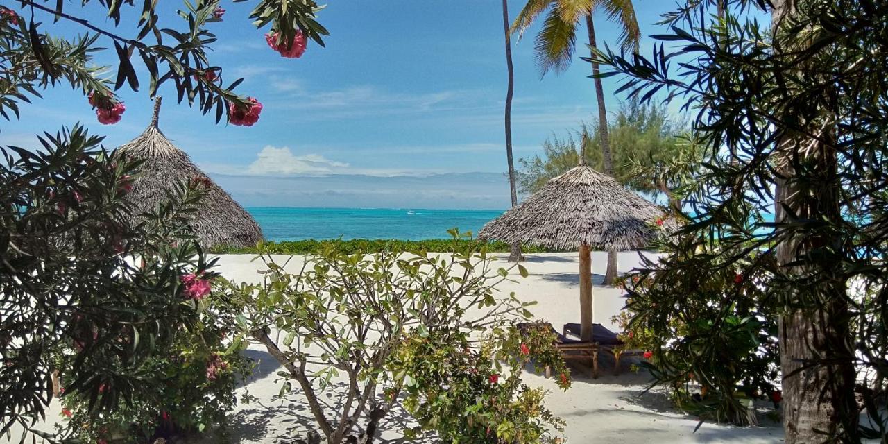 Belvedere Resort Jambiani (Zanzibar) Exterior foto